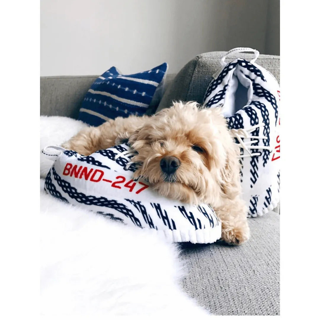 Nike panduf, panduf kadın, panduf erkek, çocuk panduf, bebek panduf, ev pandufu, penti panduf, vicco kreş ayakkabısı, erkek çocuk panduf modelleri, ortopedik panduf, hayvanlı panduf, kadın panduf, erkek panduf, kız çocuk panduf, penti panduf kadın, panduf terlik, ev botu, lcw panduf, gezer panduf, polaris panduf, sıcak ve rahat panduf çeşitleri her numarada. Tüm dünyaya gönderim seçeneğiyle kalite ve konforu şimdi keşfedin.Nike panduf, panduf kadın, panduf erkek, çocuk panduf, bebek panduf, ev pandufu, pent